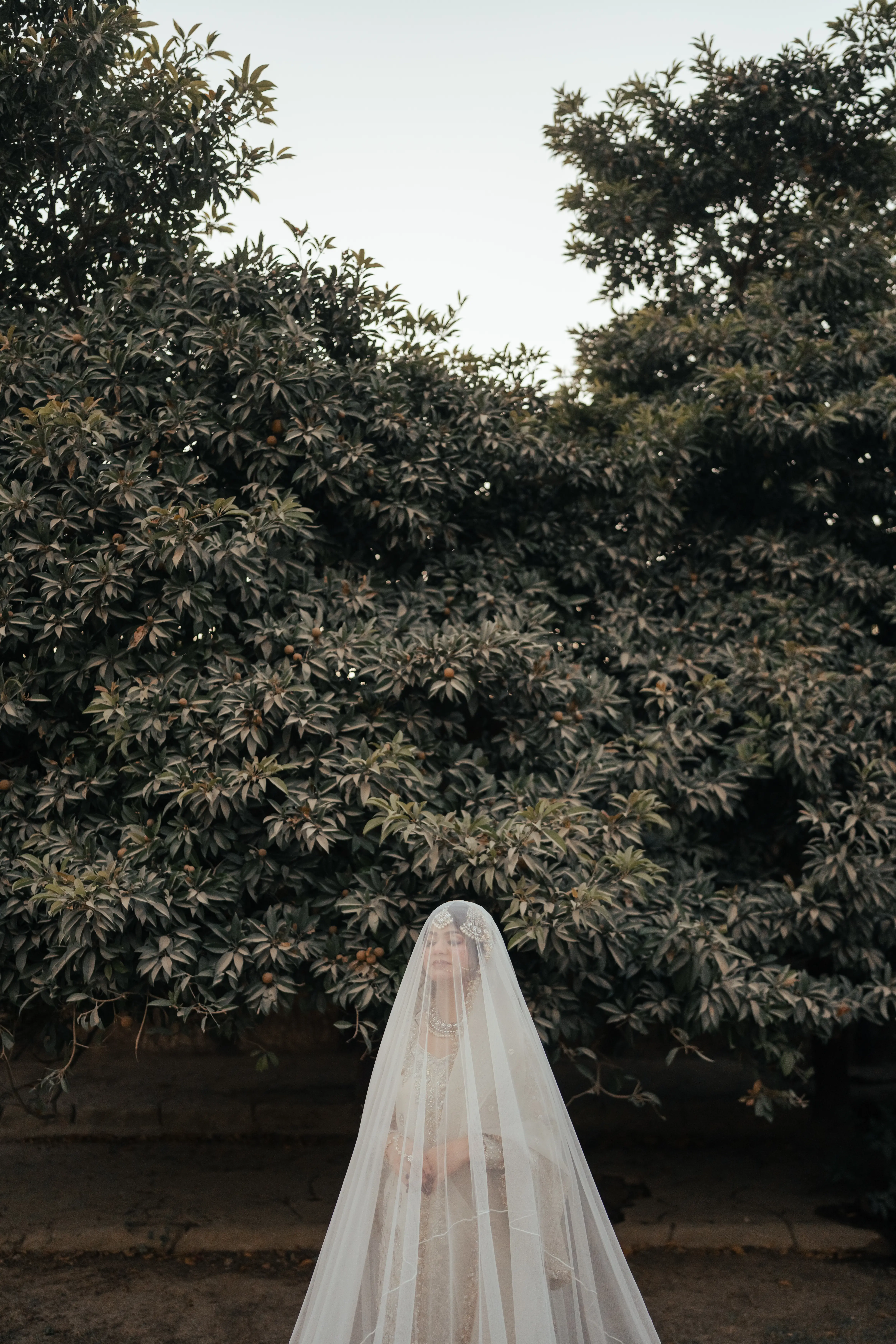 Wedding Portrait